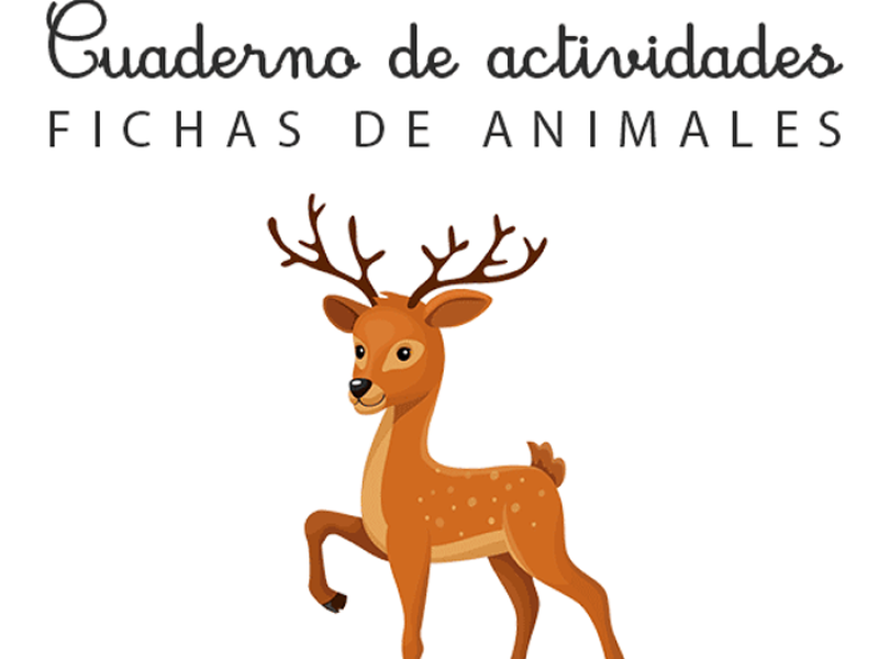 Biodiversidad del bosque