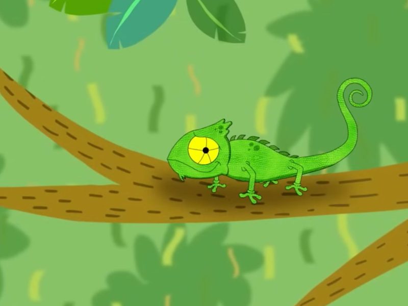 Día mundial del habitat para Nivel Inicial